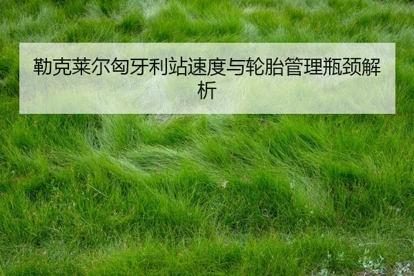 lei-ke-lai-er-xiong-ya-li-zhan-su-du-yu-lun-tai-guan-li-ping-jing-jie-xi-2-879.jpg