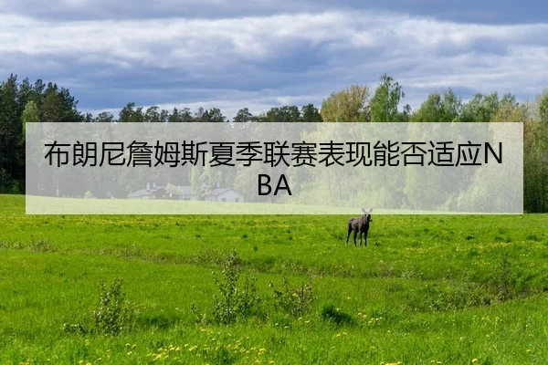 bu-lang-ni-zhan-mu-si-xia-ji-lian-sai-biao-xian-neng-fou-shi-ying-2-791.jpg